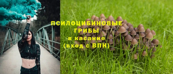 прущая мука Абаза